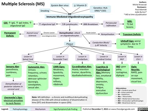 Multiple Sclerosis (MS) | Calgary Guide