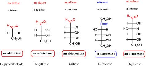 Aldoses and Ketoses | Chemistry, Chemistry notes, School study tips