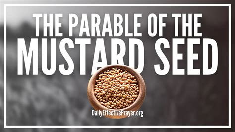 Parable Of The Mustard Seed (What You Need To Know)