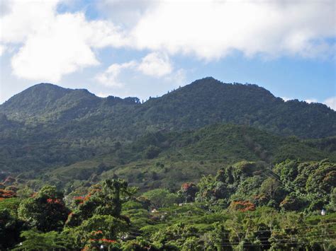 Monte Gigante Dormido (Sleeping giant mountain), Adjuntas, Puerto Rico ...