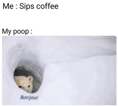 Bonjour Polar Bear Meme Coffee - Captions Trend