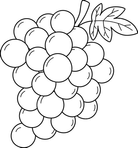 Grapes Fruit Isolated Coloring Page For Kids Kids Nutritious Summer Vector, Fruit Drawing ...