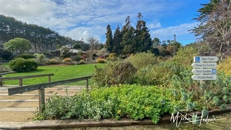 Mendocino Coast Botanical Gardens: rhododendrons, ocean views, whales ...