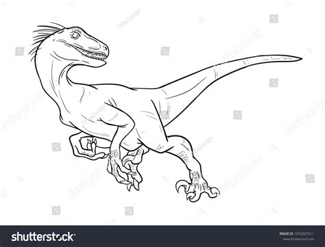 Hand Drawn Raptor Velociraptor Vector Line Stock Vector (Royalty Free ...