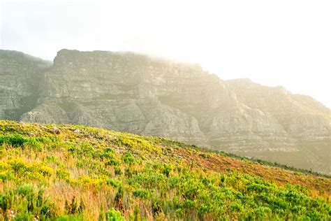 Rocky mountains with light vegetation Photograph by John-james Gerber ...