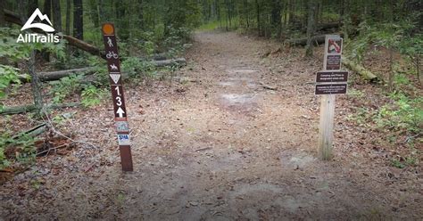 Best hikes and trails in Pocomoke River State Park | AllTrails