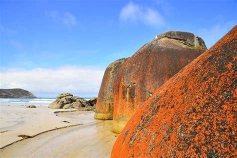 TIDAL RIVER CAMPGROUND - Reviews (Wilsons Promontory National Park ...