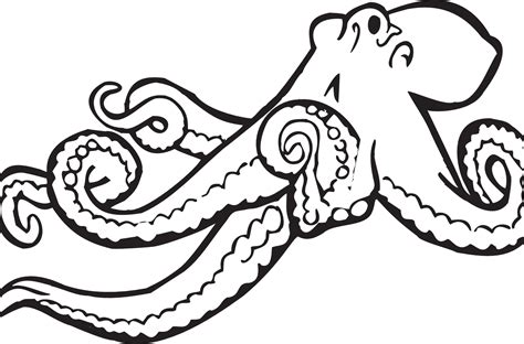 Octopus Clip art Vector graphics Openclipart Illustration - baby bear coloring pages 100 png ...
