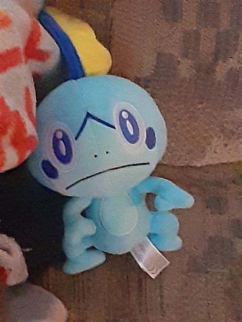 This is my plush Sobble named Sobbie Pokemon Dragon, Pokemon Plush, Pokemon Stuff, Bday Party ...