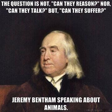 Jeremy Bentham Quotes Animals. QuotesGram