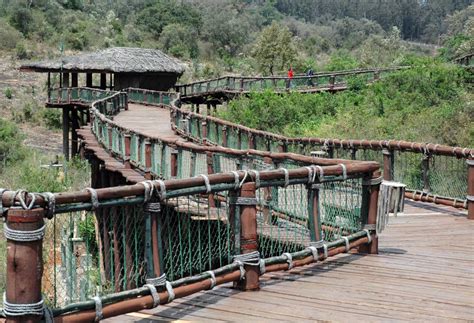 Nairobi National Park - a natural wilderness outside Kenya's capital city