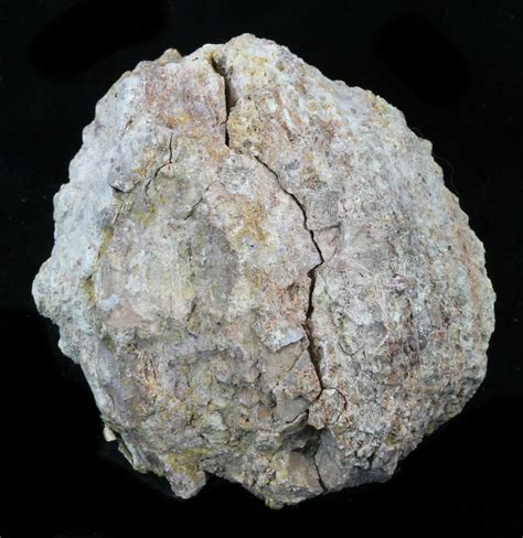 3.2" Crystal Filled Dugway Geode For Sale (#33186) - FossilEra.com