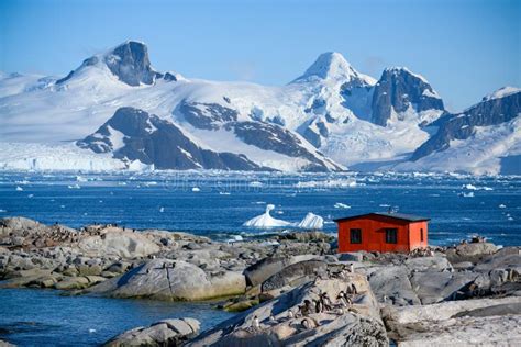 Petermann Island, Beautiful Antarctic Island with Penguins on Rocks, Abandoned Station and Snow ...