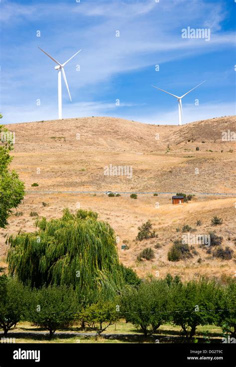 Rural Country Side Modern Green Wind Energy Generator Turbine Stock ...