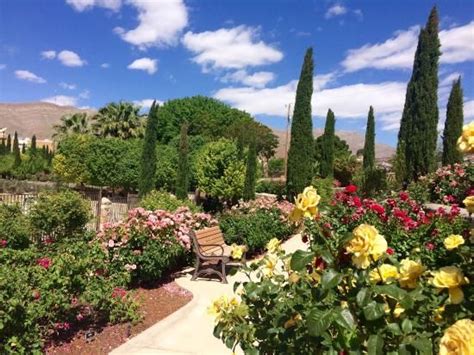 El Paso Municipal Rose Garden | El paso, Natural wonders, Beautiful roses