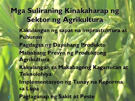 Sektor ng agrikultura