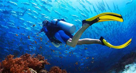 Scuba Diving Fethiye Tour – Haqqi Tours