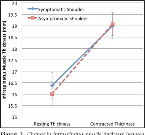 Figure 3 from The reliability of rehabilitative ultrasound imaging in ...