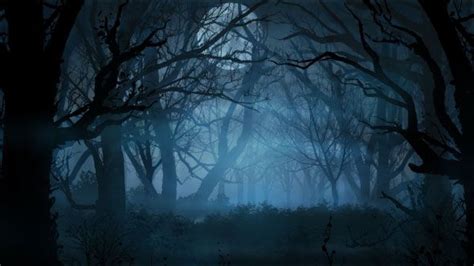 Halloween Forest Background