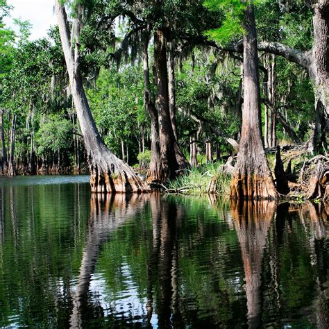 Everglades National Park | Wildlife and Wild Lands