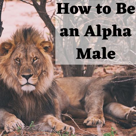 18 Typical Characteristics, Personality Traits, and Behaviors of an Alpha Male - PairedLife