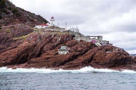 The best things to do in st john s newfoundland – Artofit