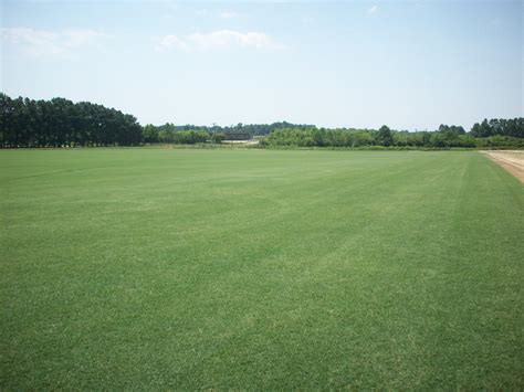 Free photo: Grass Field - Clouds, Daylight, Field - Free Download - Jooinn