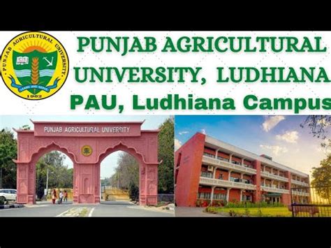 Punjab Agricultural University, Ludhiana || PAU, Ludhiana Campus Documentary | CET, MET, PET-20 ...