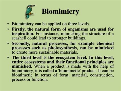 Biomimicry –Applications in Civil Engineering