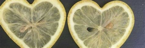 two halves of lemon are shown in the shape of hearts