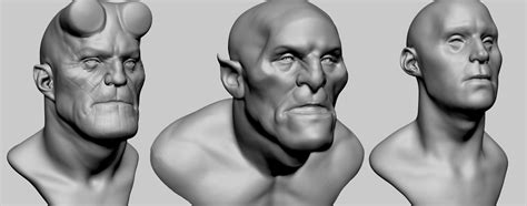 3D Head Anatomy Model - TurboSquid 1567404