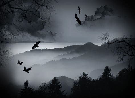 Crow Wallpapers HD - Wallpaper Cave