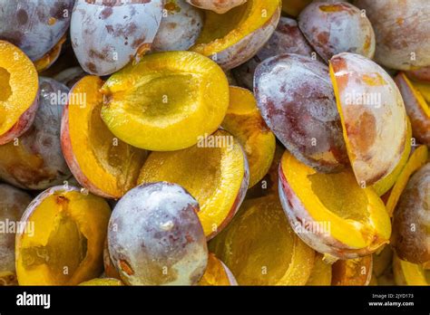 Plums harvest.Plum halves background.Yellow pulp of fruits. Juicy pulp ...