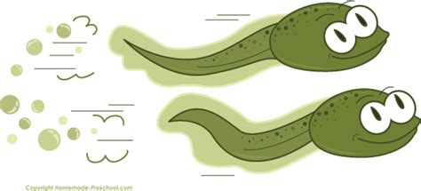 Tadpole Clipart & Look At Clip Art Images - ClipartLook