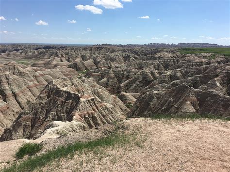 The Oligocene Epoch – Fossil Horses