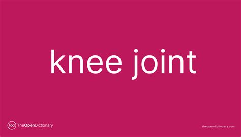 Knee joint | Meaning of Knee joint | Definition of Knee joint | Example of Knee joint