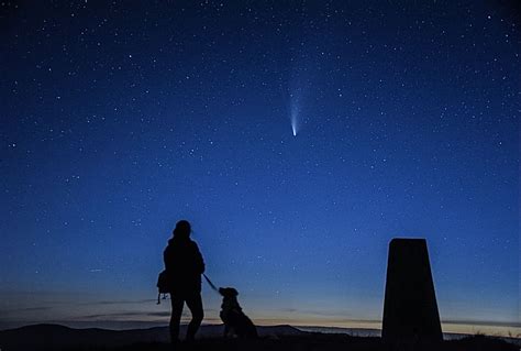 10 Stellar Photos of Dogs and the Night Sky | DarkSky International