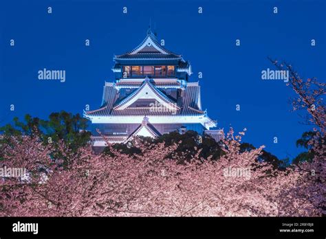 Kumamoto Castle and cherry blossoms Stock Photo - Alamy