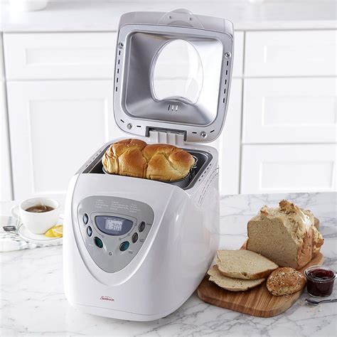 Sunbeam 2 Pound Programmable Breadmaker Review - Bread and Buzz