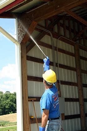 Controlling Paper Wasps in and Around Structures | NC State Extension Publications