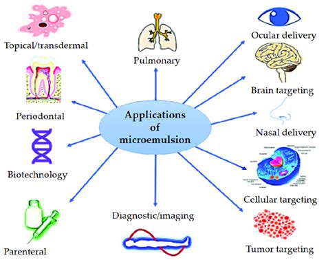 Versatile applications of microemulsions in drug and gene delivery ...