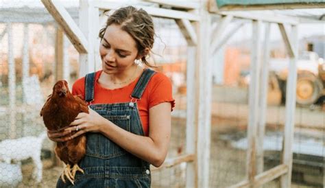 4 Considerations Before Keeping Chickens - Hobby Farms