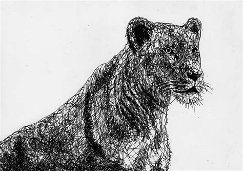 Scribble animals on Behance