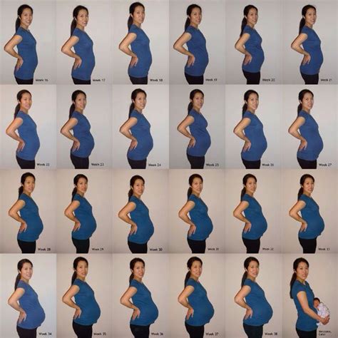 Pin by RudysBestBuys on Pregnancy. | Pregnancy progress pictures, Pregnancy week by week ...