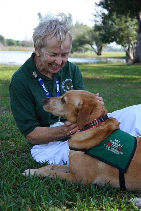 Volunteer - Humane Society of Broward County | Humane society ...