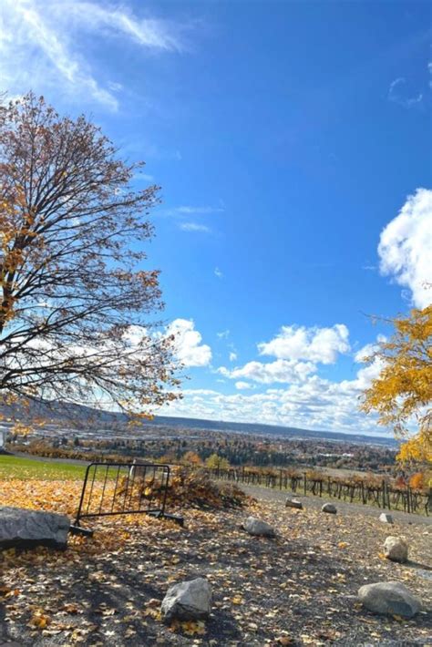 5 Fantastic Wineries to Visit in Spokane, Washington - Miranda's Mind