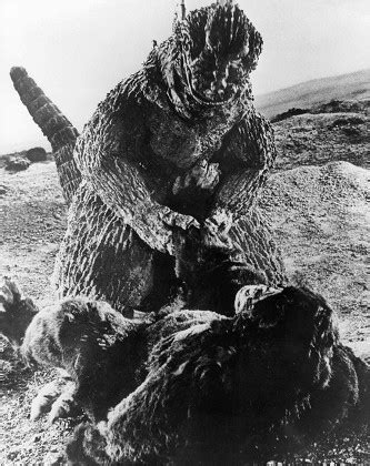 Godzilla King Kong Vs Godzilla 1962 Editorial Stock Photo - Stock Image ...