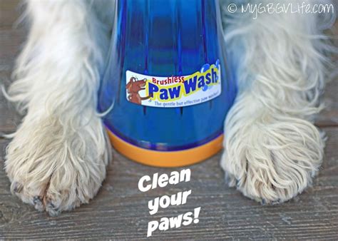 The Paw Wash - Say "No" To Dirty Paws {Giveaway} - My GBGV Life