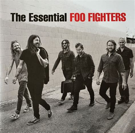 Foo Fighters – On Vinyl