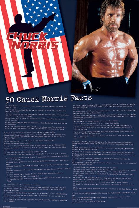 Chuck Norris - Facts Poster | Sold at UKposters